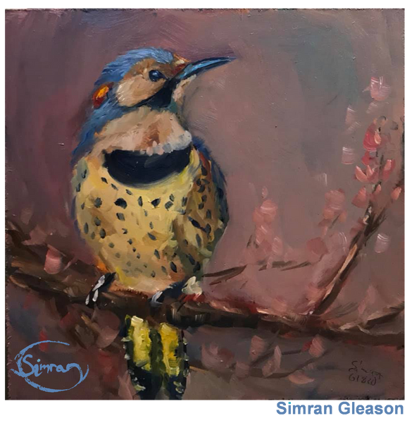 Northern Flicker (t-shirt)