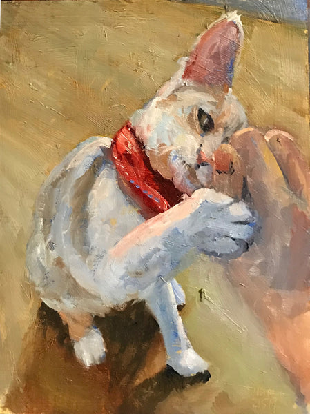 Cat portrait commission