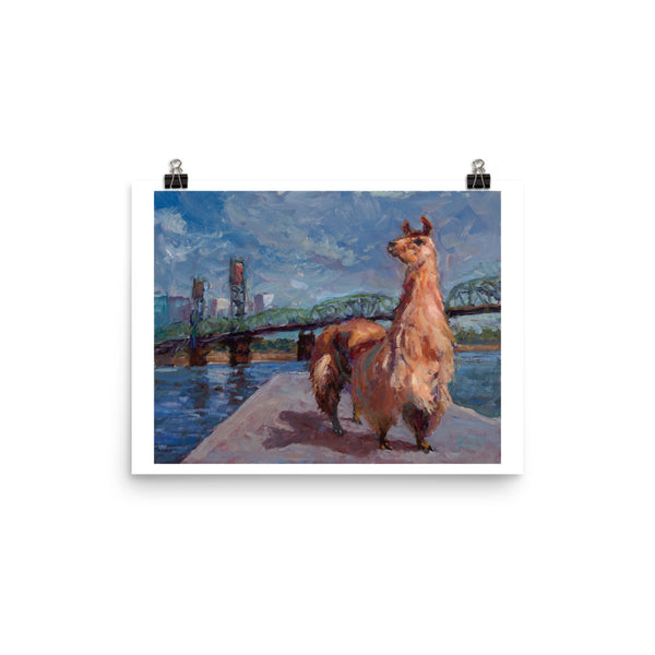 Rojo: Portland's Llama. Poster print