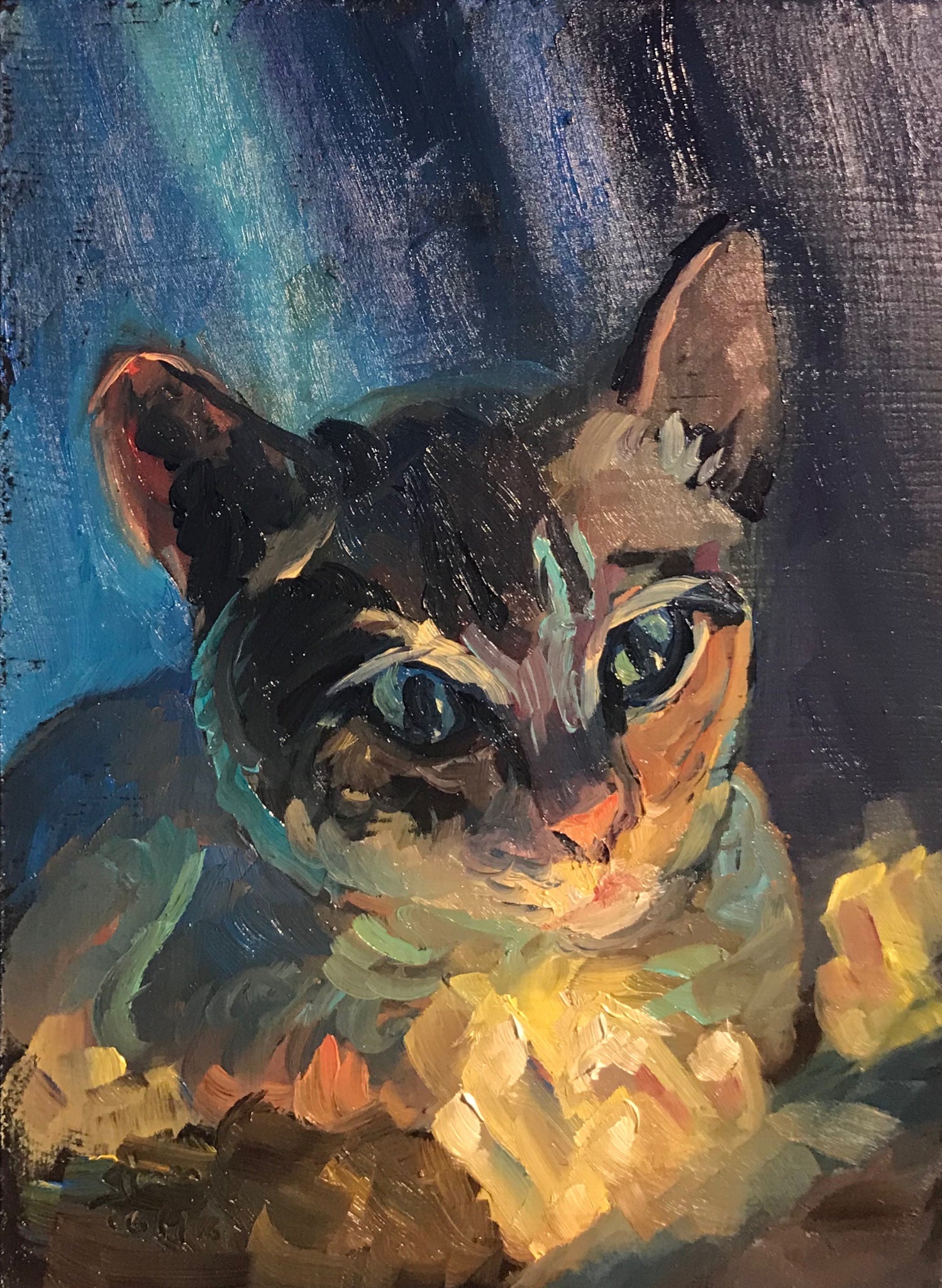 Cat portrait commission